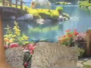 Indianqtpie6  live sex cam