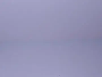 Oliviabrady1  live sex cam