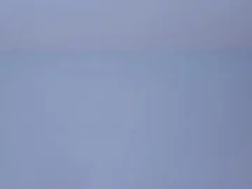 Oliviabrady1  live sex cam