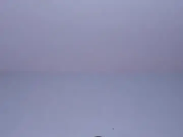 Oliviabrady1  live sex cam