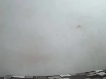 The_right_girl  live sex cam