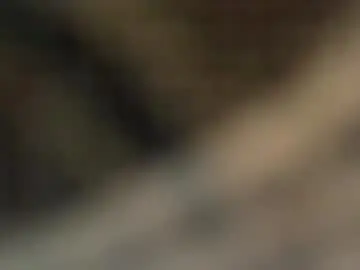 Tippygirly  live sex cam