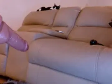 Ohmysweetkitty  live sex cam