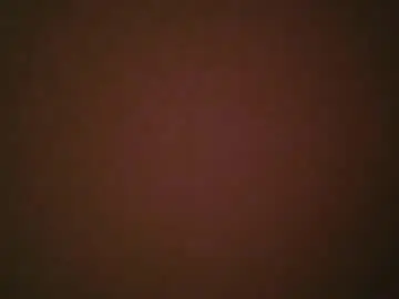 Peteris816513  live sex cam