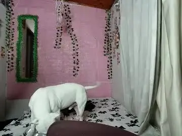 Sexy_lolas  live sex cam