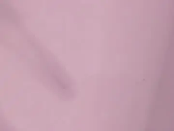 Reze_chaw  live sex cam