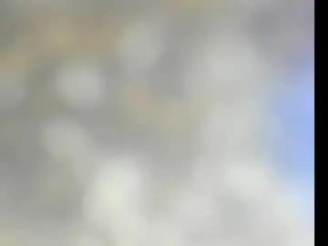 Natalie1012  live sex cam