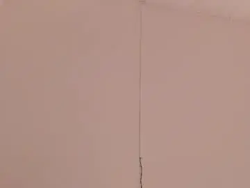 Amykord  live sex cam