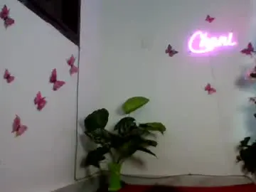 Chaniee  live sex cam