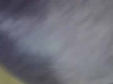 Camilaperes69  live sex cam