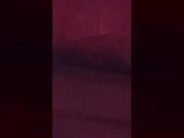 Charloei  live sex cam