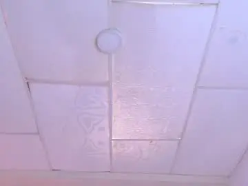Dina_mcry  live sex cam