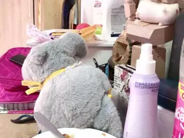 _sofivalentinaa  live sex cam