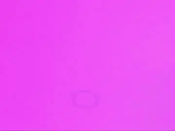 Sarahhensoon  live sex cam