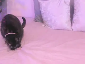 Maia_lion  live sex cam