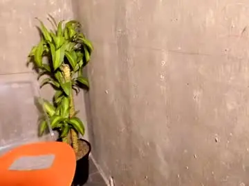 Noor_bloom  live sex cam