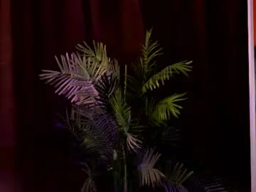 Elyssawetxx  live sex cam
