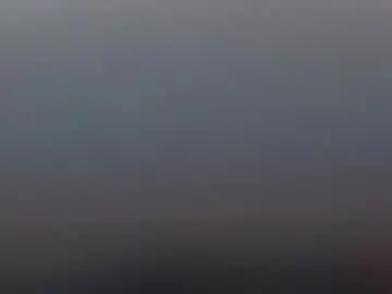 Danmsel  live sex cam