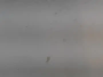 Angels_chat  live sex cam