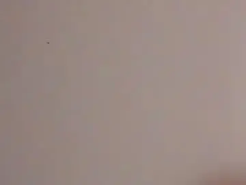 Angelique_murphy  live sex cam