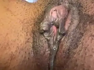 Ceexo9  live sex cam