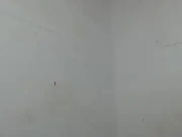 Cornxslut  live sex cam
