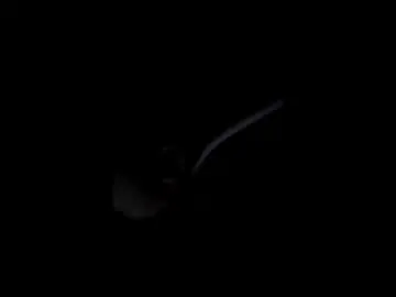 Succubuskae  live sex cam