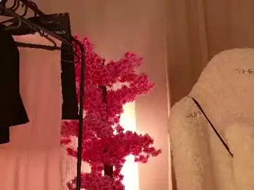 Djada_steveens_  live sex cam