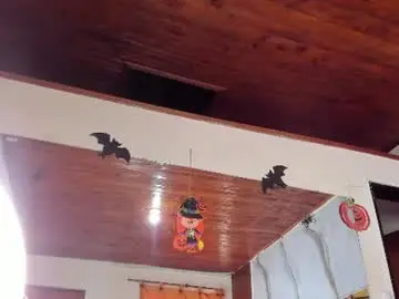 Soribaker  live sex cam