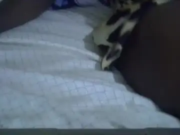 Cutebrownie1998  live sex cam