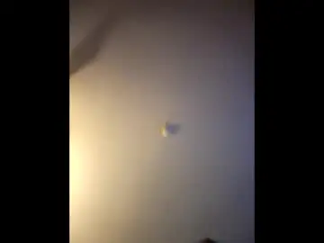 Gapemyhoneypot  live sex cam