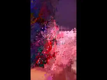 Lilmommabear89  live sex cam