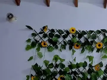 Tracy_wright  live sex cam