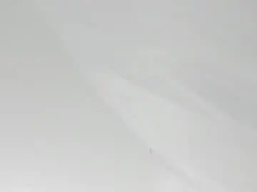 Nela_7  live sex cam