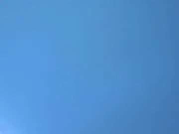 Meganritz_  live sex cam