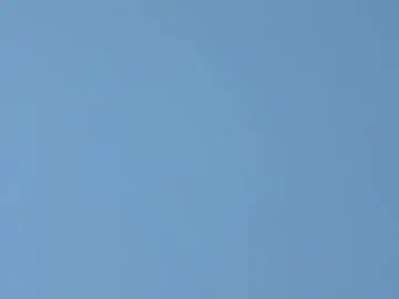 Meganritz_  live sex cam