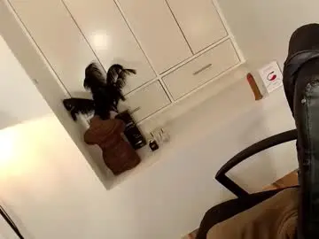 Arabella_califa  live sex cam