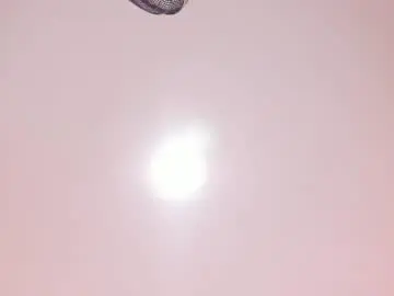 Miaa_voss  live sex cam