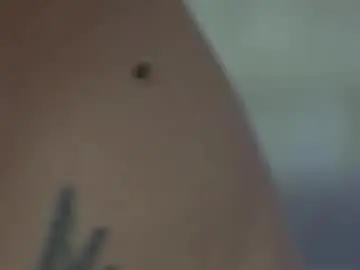 Siennashapiro  live sex cam