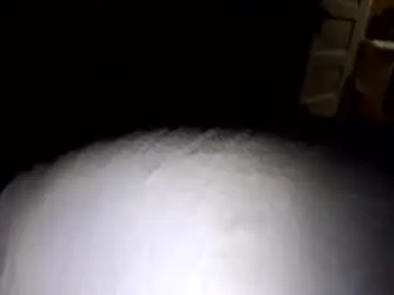 Wicked381  live sex cam