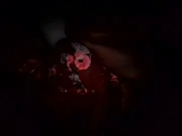 Pretty_curvy99  live sex cam