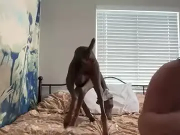 Zenvibesx  live sex cam