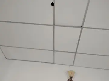 Angiexht  live sex cam