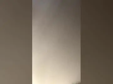 Bigbootybri420  live sex cam