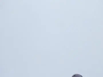 Marilyn_stefany  live sex cam