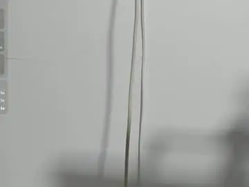 Sydney_miller_  live sex cam