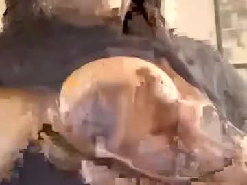 Messy_punani  live sex cam