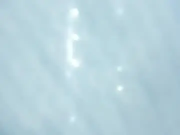 Koralcruz  live sex cam