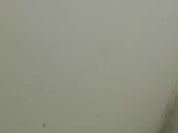 Raycatt  live sex cam