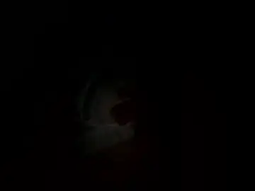 Rosiepussy599718  live sex cam